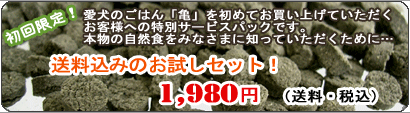 ���N�ƒ�������ړI�ɍ��ꂽ�A���Y���ŐV�N�ȍ��Y�h�b�O�t�[�h�u�T(����)�v
