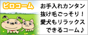 �����т���������s���R�[��
