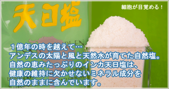 �C���J�V�����@�p���[�\���g�@���R��