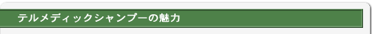 テルメディックシャンプーの魅力